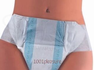 1001pleasure