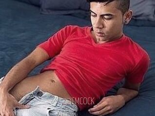 22_CM_COCK