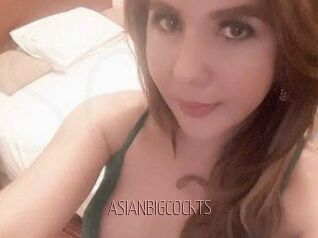 ASIAN_BIGCOCK_TS