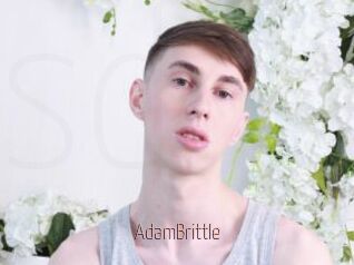 AdamBrittle