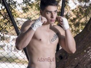 AdamBull