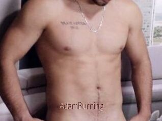AdamBurning