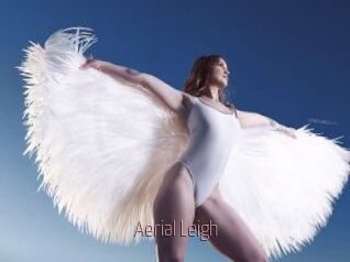 Aerial_Leigh