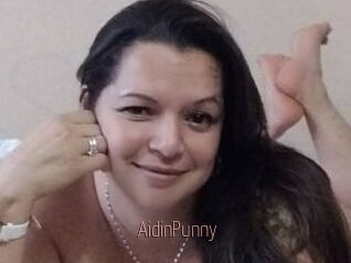 AidinPunny