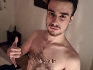 AleyModel