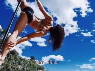 AliceCellador
