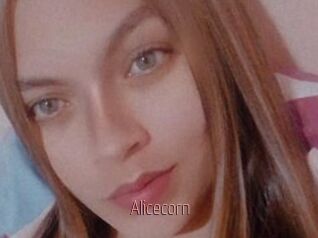 Alicecorn