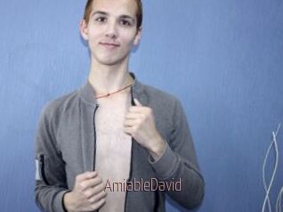 AmiableDavid