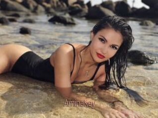 AminaKey