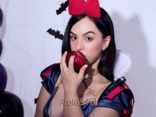 AnaliaSchet