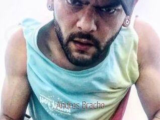 Andres_Bracho