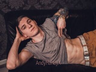AndyHandyX