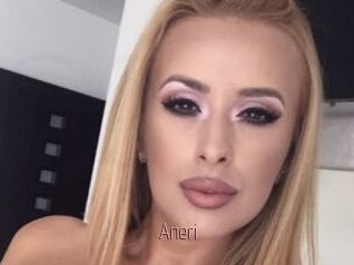 Aneri