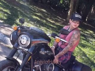 AngelofHarley