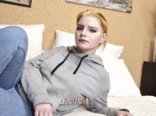 AniNorris
