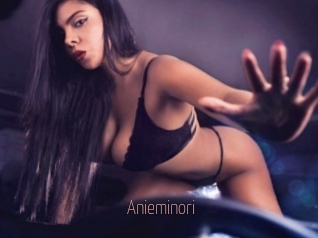 Anieminori