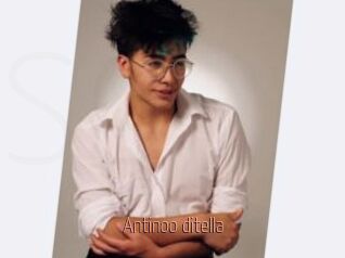 Antinoo_ditella