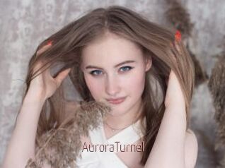 AuroraTurnel