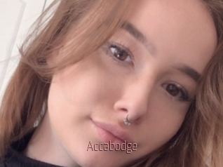 Accabodge
