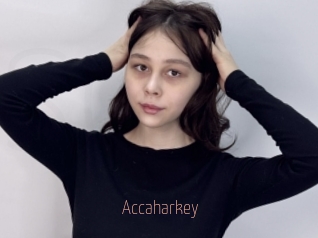 Accaharkey