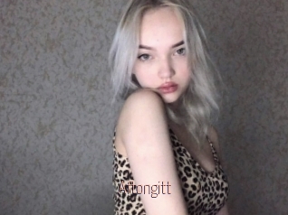 Aftongitt