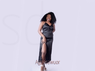 Agnesawuor