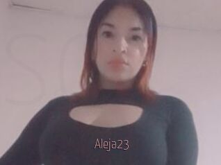 Aleja23