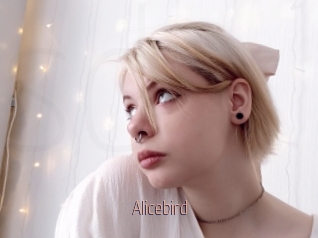 Alicebird