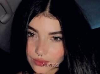 Alicerosi
