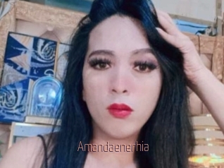 Amandaenerhia