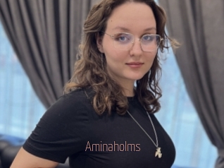 Aminaholms
