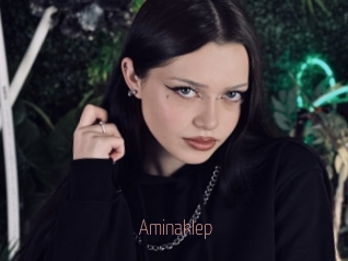 Aminaklep