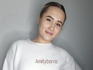 Amitybarris