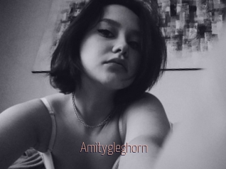 Amitygleghorn