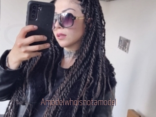 Amodelwhoisnotamodel