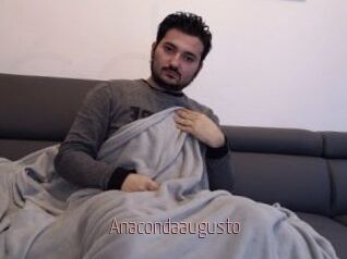 Anacondaaugusto