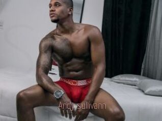 Andy_sullivann