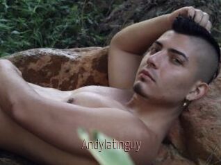 Andylatinguy