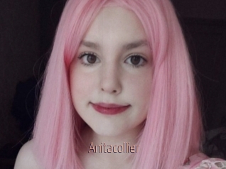 Anitacollier