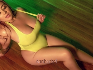 Annibecket