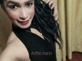 Antho_marin