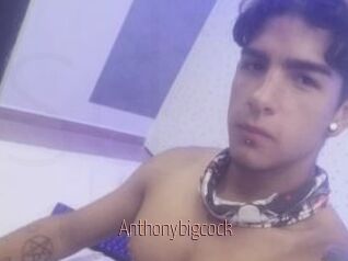 Anthonybigcock
