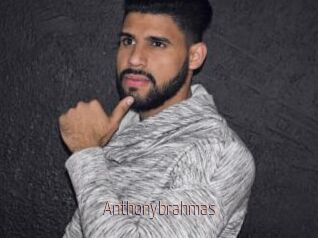 Anthonybrahmas