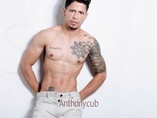 Anthonycub