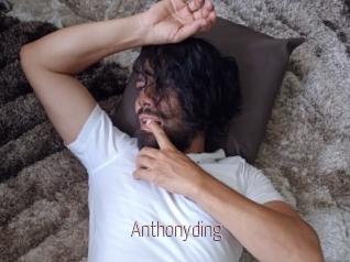 anthonyding Sexe désirs