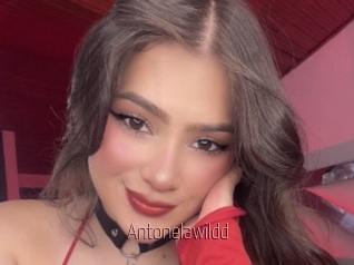 Antonelawildd