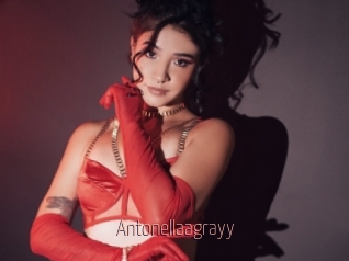 Antonellaagrayy