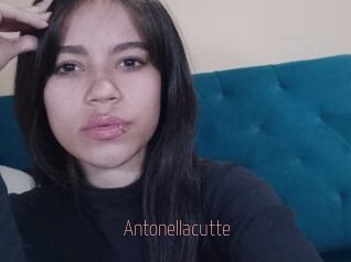 Antonellacutte