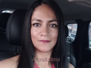 Antonelladiosa