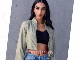 Antonelladivala